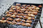 Grilled Meat Kabobs